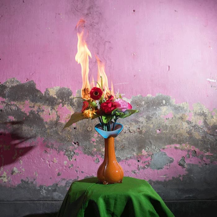 A bouquet burning in a vase against a pink wall